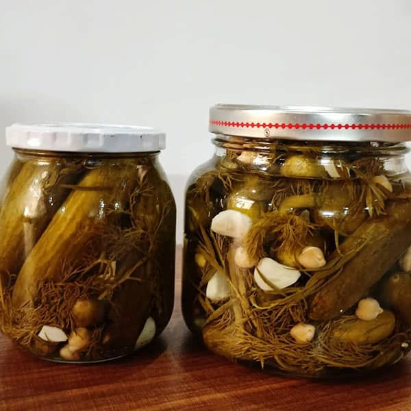تصویر 3 از قیمت خرید خیارشور خانگی  + فروش ویژه